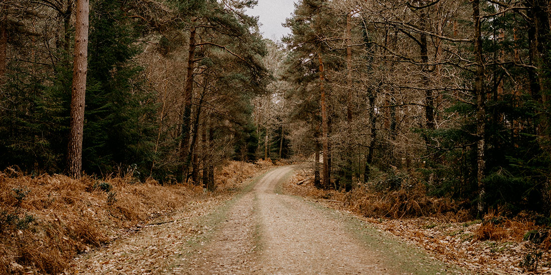 Poradenská činnost