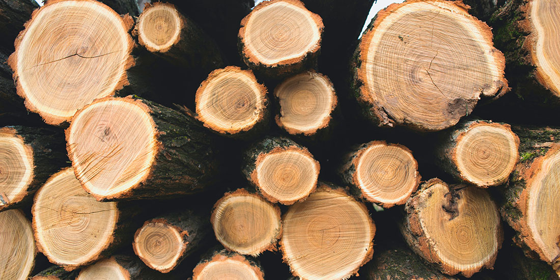 Obchod s dřevní surovinou